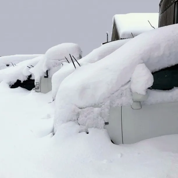 寒波がやってきて、日本海側の地域では大雪になっているとのこと...